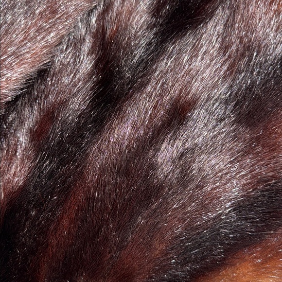 KERRYBROOKE for SEARS & ROEBUCK Vintage 1950s Mink Stole Fur Wrap - Picture 4 of 6